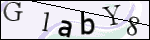 Human Confirmation Code (Captcha)