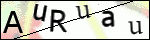 Human Confirmation Code (Captcha)