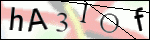 Human Confirmation Code (Captcha)