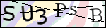 Human Confirmation Code (Captcha)