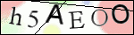 Human Confirmation Code (Captcha)