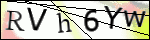 Human Confirmation Code (Captcha)