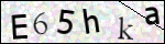 Human Confirmation Code (Captcha)