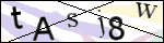 Human Confirmation Code (Captcha)