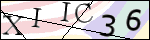 Human Confirmation Code (Captcha)