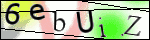 Human Confirmation Code (Captcha)