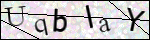 Human Confirmation Code (Captcha)