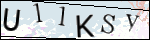 Human Confirmation Code (Captcha)