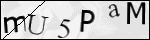 Human Confirmation Code (Captcha)