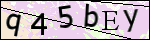 Human Confirmation Code (Captcha)