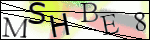 Human Confirmation Code (Captcha)