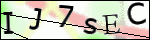 Human Confirmation Code (Captcha)