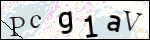 Human Confirmation Code (Captcha)