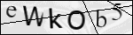 Human Confirmation Code (Captcha)