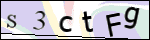 Human Confirmation Code (Captcha)