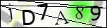 Human Confirmation Code (Captcha)