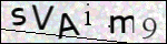 Human Confirmation Code (Captcha)