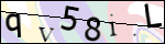 Human Confirmation Code (Captcha)