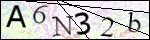 Human Confirmation Code (Captcha)