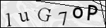 Human Confirmation Code (Captcha)