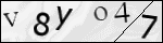 Human Confirmation Code (Captcha)