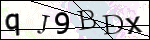 Human Confirmation Code (Captcha)