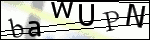 Human Confirmation Code (Captcha)