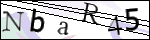 Human Confirmation Code (Captcha)