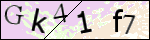 Human Confirmation Code (Captcha)
