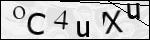 Human Confirmation Code (Captcha)