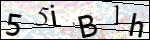 Human Confirmation Code (Captcha)