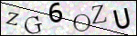 Human Confirmation Code (Captcha)