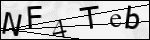 Human Confirmation Code (Captcha)