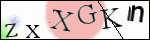Human Confirmation Code (Captcha)