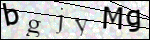 Human Confirmation Code (Captcha)