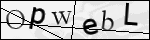 Human Confirmation Code (Captcha)