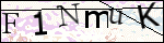 Human Confirmation Code (Captcha)