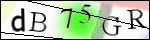 Human Confirmation Code (Captcha)
