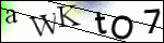Human Confirmation Code (Captcha)