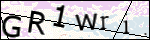 Human Confirmation Code (Captcha)