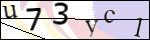 Human Confirmation Code (Captcha)