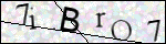 Human Confirmation Code (Captcha)