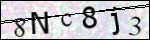 Human Confirmation Code (Captcha)