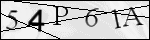 Human Confirmation Code (Captcha)