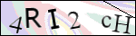 Human Confirmation Code (Captcha)