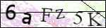 Human Confirmation Code (Captcha)