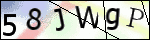 Human Confirmation Code (Captcha)
