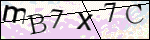 Human Confirmation Code (Captcha)