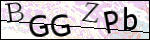 Human Confirmation Code (Captcha)
