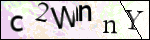 Human Confirmation Code (Captcha)